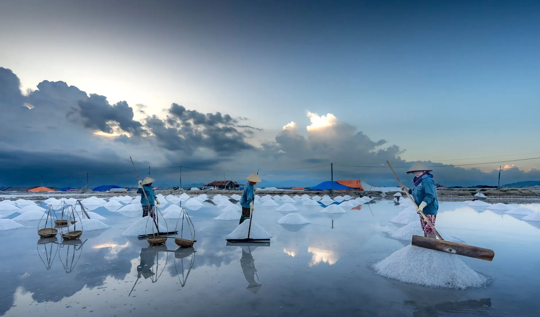 云南欣潼花卉鲜切花供应链管理:从基地到花店的品质管控体系正文配图 1